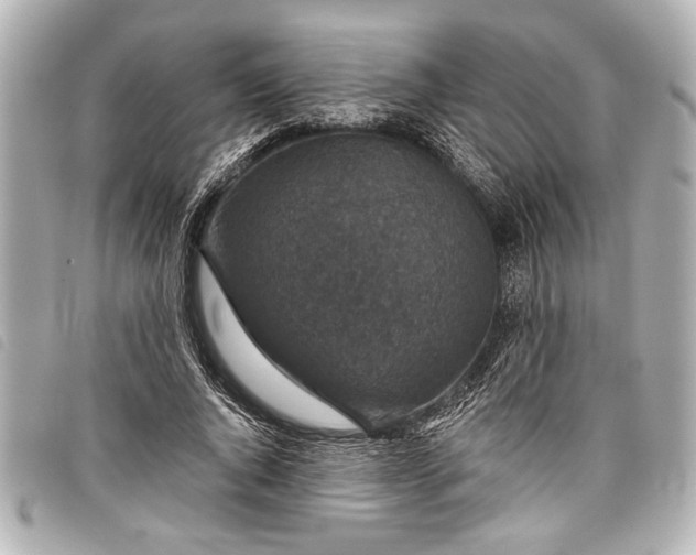 X0000098070736200804181132