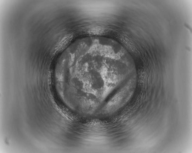 X0000098070738200804181132