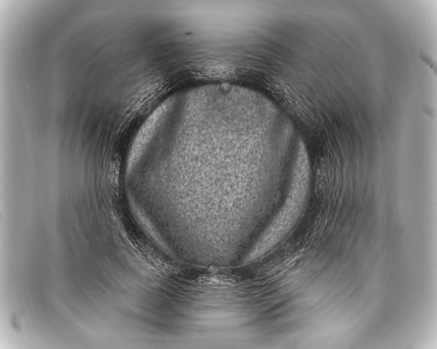 X0000098070739200804181132