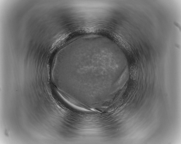 X0000098070740200804181132