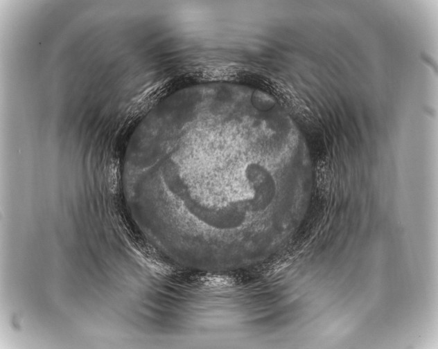 X0000098070741200804181132