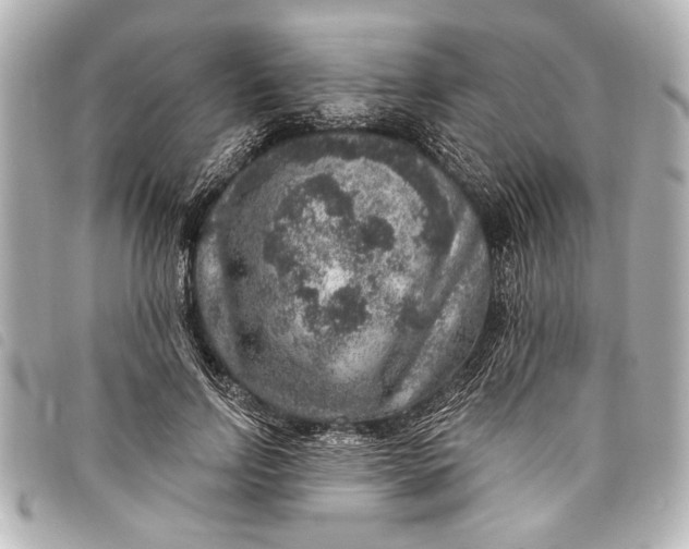 X0000098070742200804181132