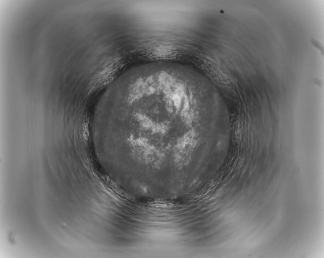 X0000098070746200804181132