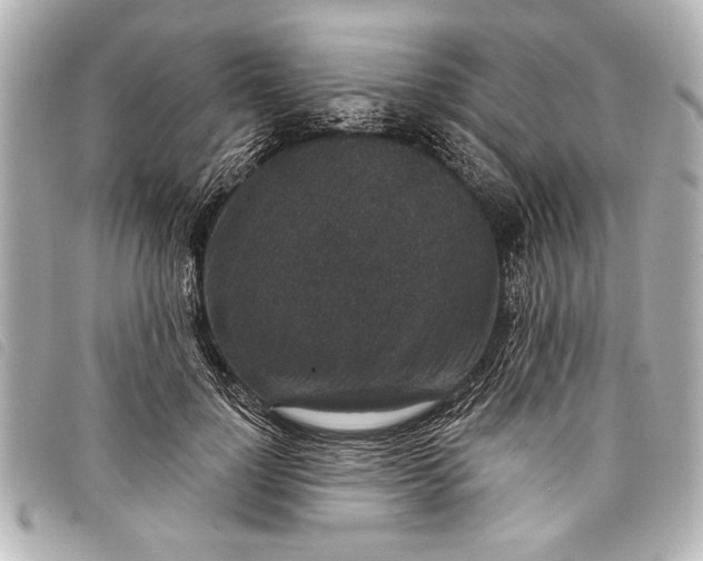 X0000098070748200804181132