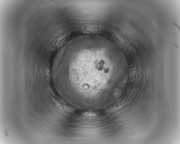 X0000098070749200804181132