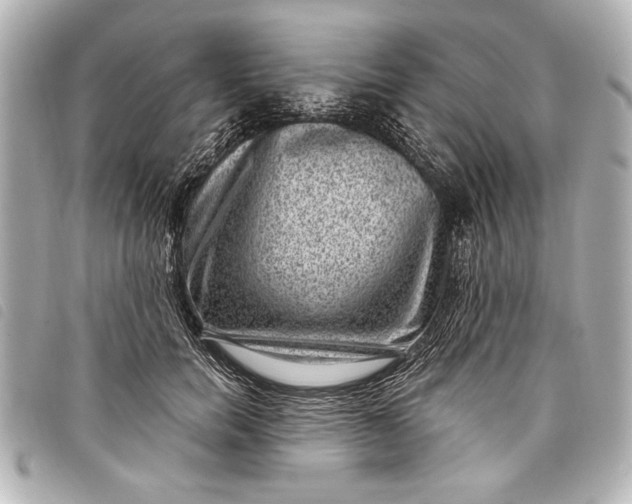 X0000098070750200804181132