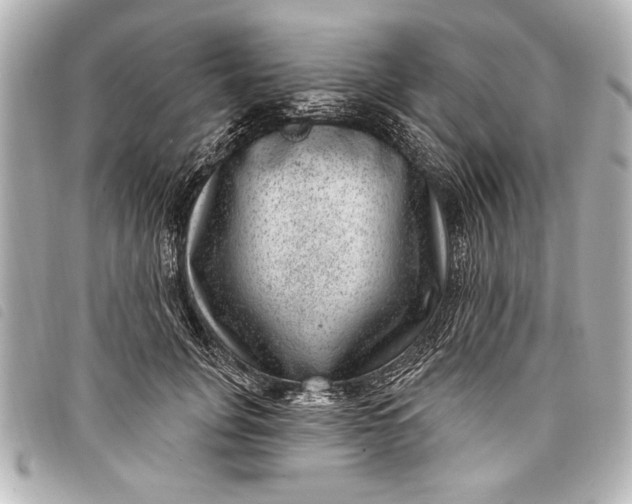 X0000098070751200804181132