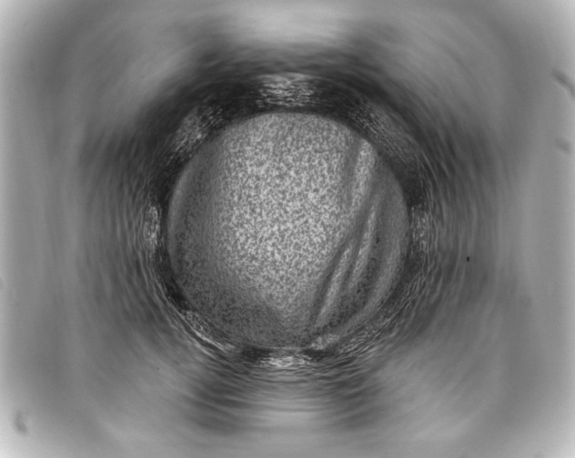 X0000098070752200804181132