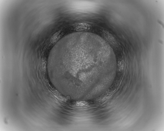 X0000098070753200804181132