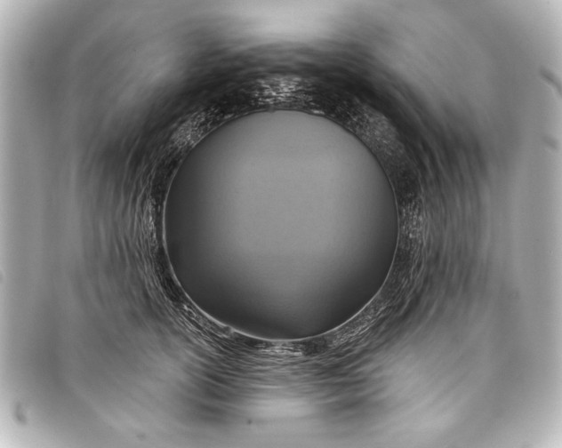 X0000098070754200804181132