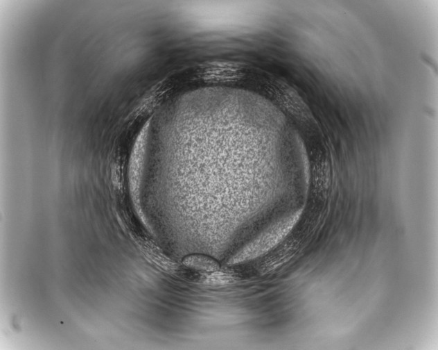 X0000098070755200804181132