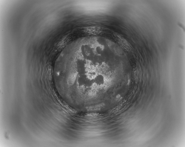 X0000098070757200804181132