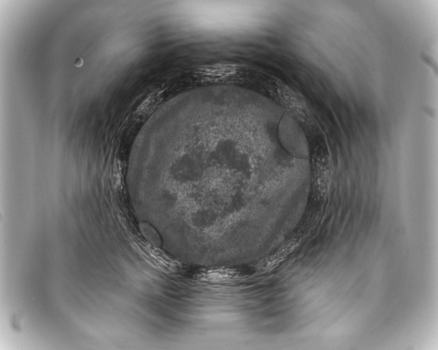 X0000098070758200804181132