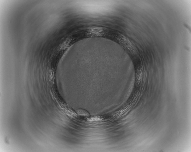 X0000098070759200804181132