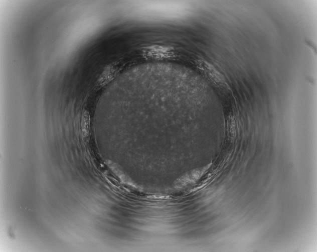 X0000098070760200804181132