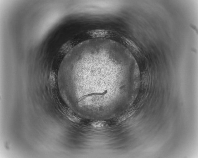 X0000098070761200804181132