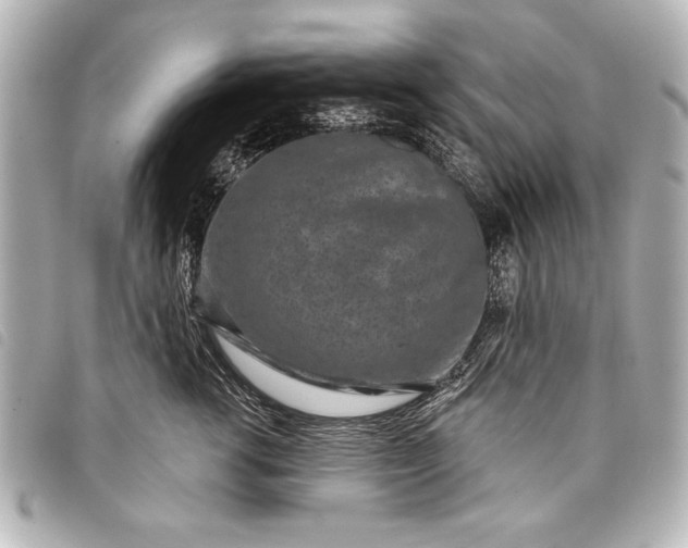 X0000098070762200804181132