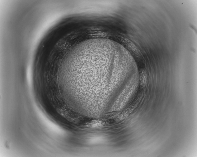 X0000098070764200804181132