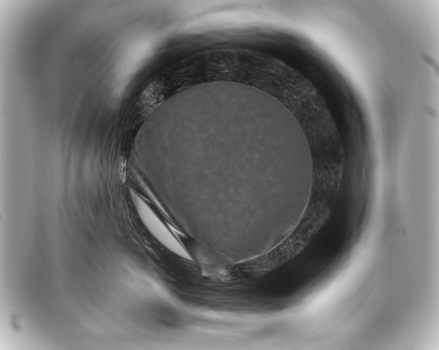 X0000098070766200804181133