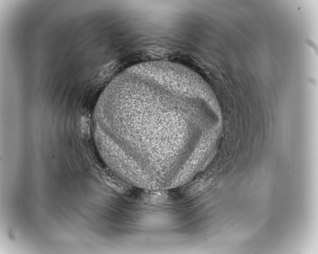 X0000098070768200804181133