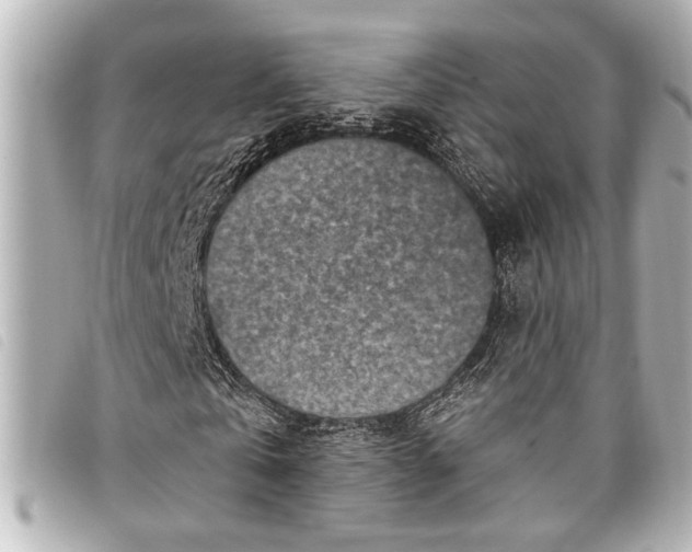 X0000098070769200804181132