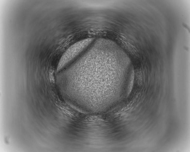 X0000098070770200804181132