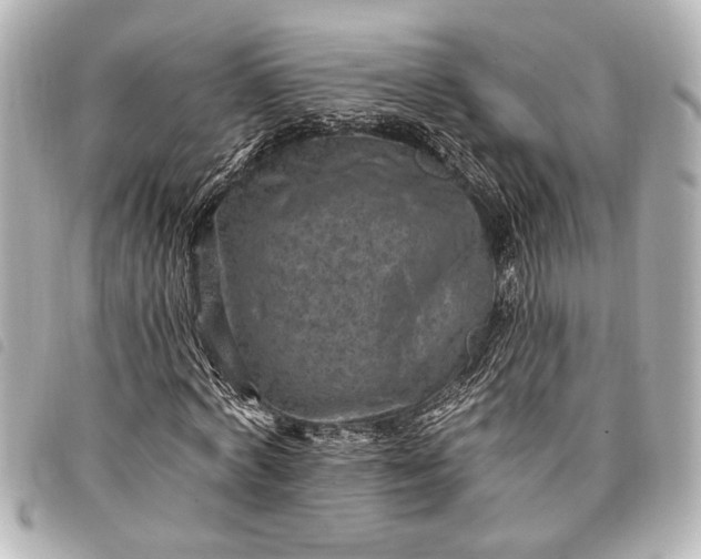 X0000098070772200804181132