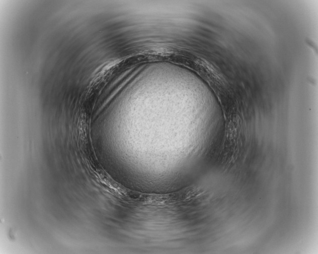 X0000098070773200804181132