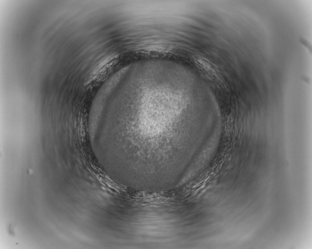 X0000098070774200804181132