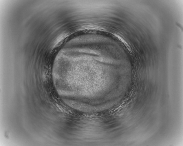 X0000098070775200804181132