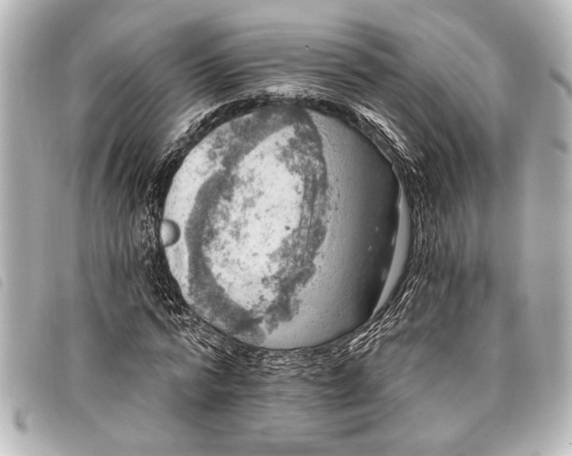 X0000098070776200804181132