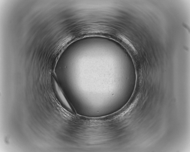 X0000098070777200804181132