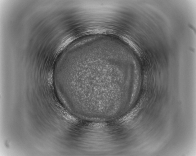 X0000098070778200804181132