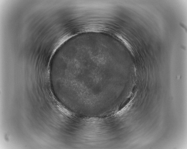 X0000098070779200804181132