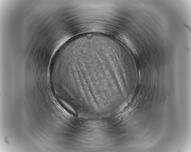 X0000098070780200804181132