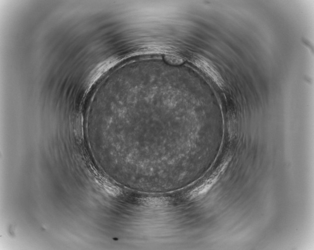 X0000098070781200804181132