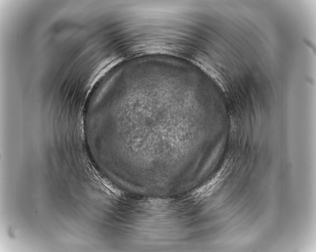 X0000098070782200804181132