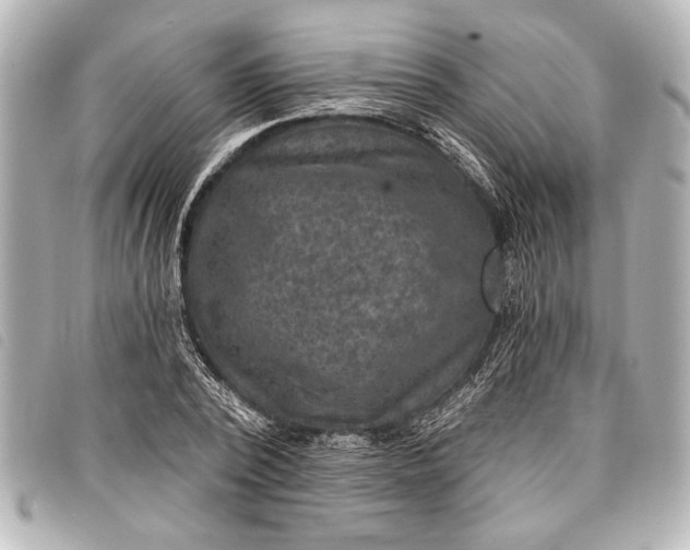 X0000098070784200804181131