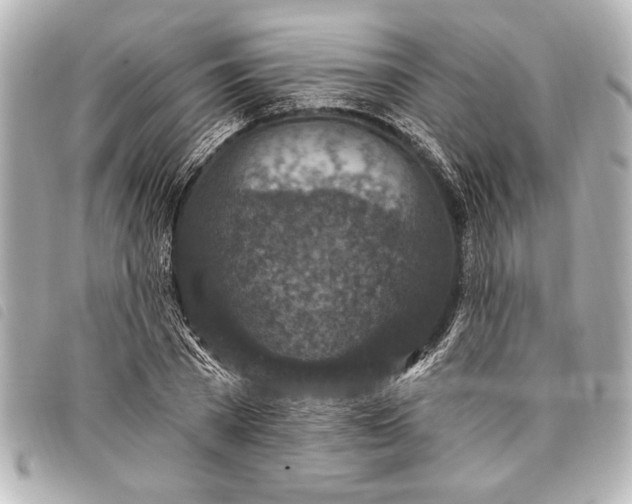 X0000098070785200804181131