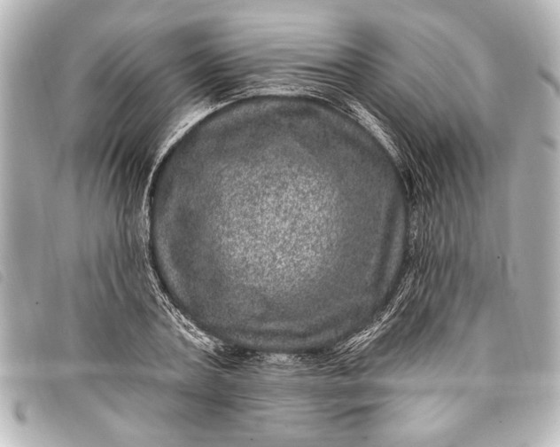 X0000098070787200804181131