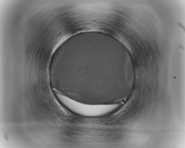 X0000098070789200804181131