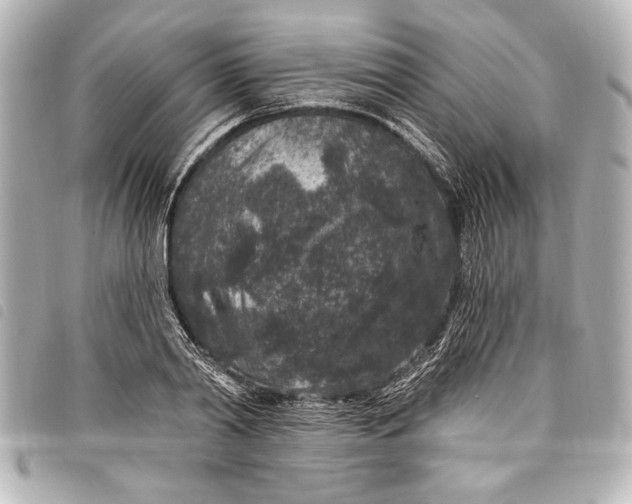 X0000098070790200804181131