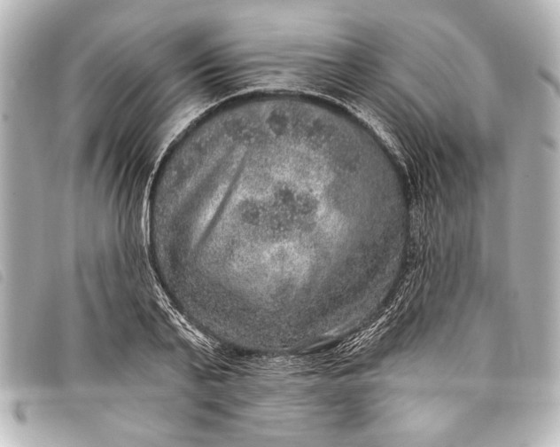 X0000098070791200804181131