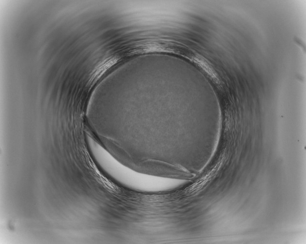 X0000098070793200804181131