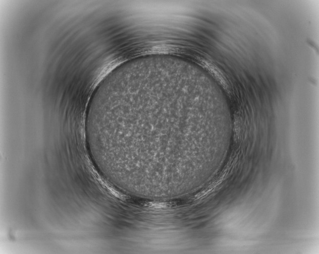 X0000098070794200804181131