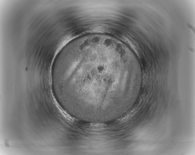 X0000098070795200804181131