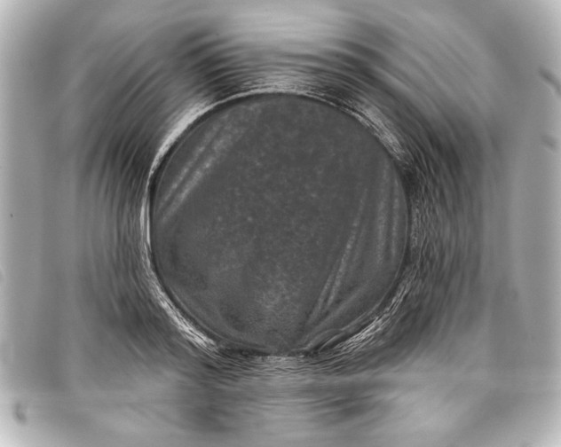 X0000098070796200804181131