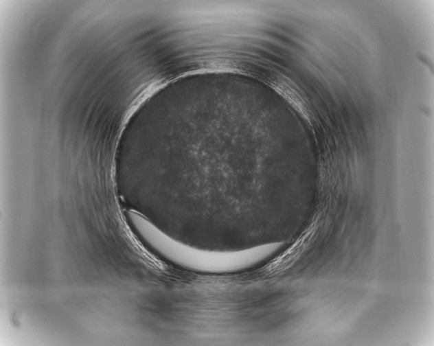 X0000098070797200804181131