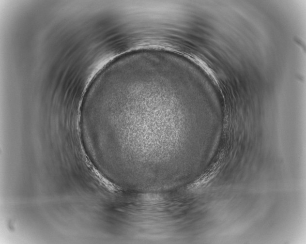 X0000098070799200804181131