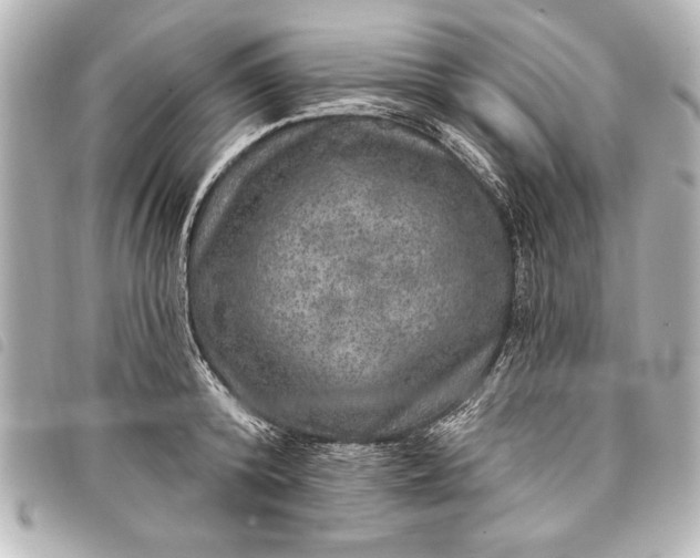 X0000098070800200804181131